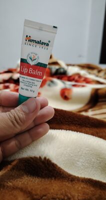himalaya Lip Balm